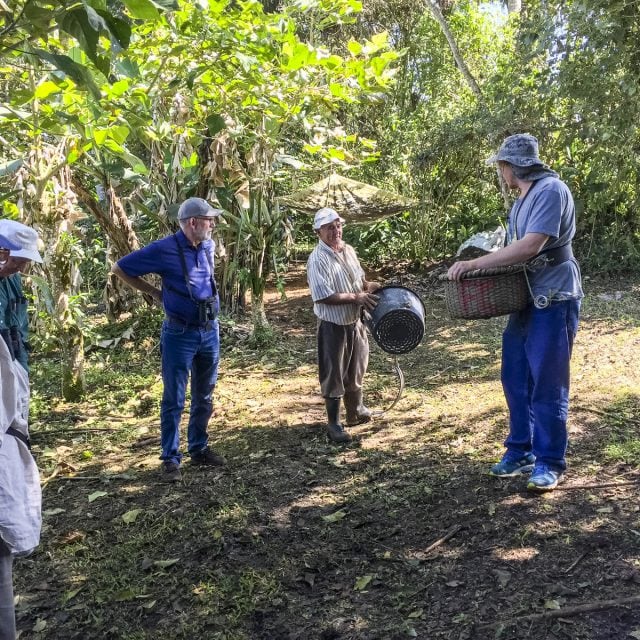 organic coffee farm © Steve Ogle