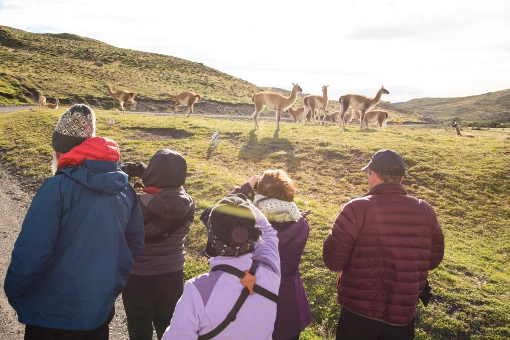 people watching Guancos
