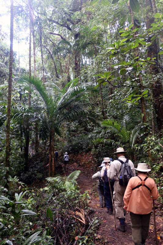 Birding Group Glipin Trace