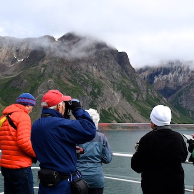 Watching wildlife from the Ocean Endeavour