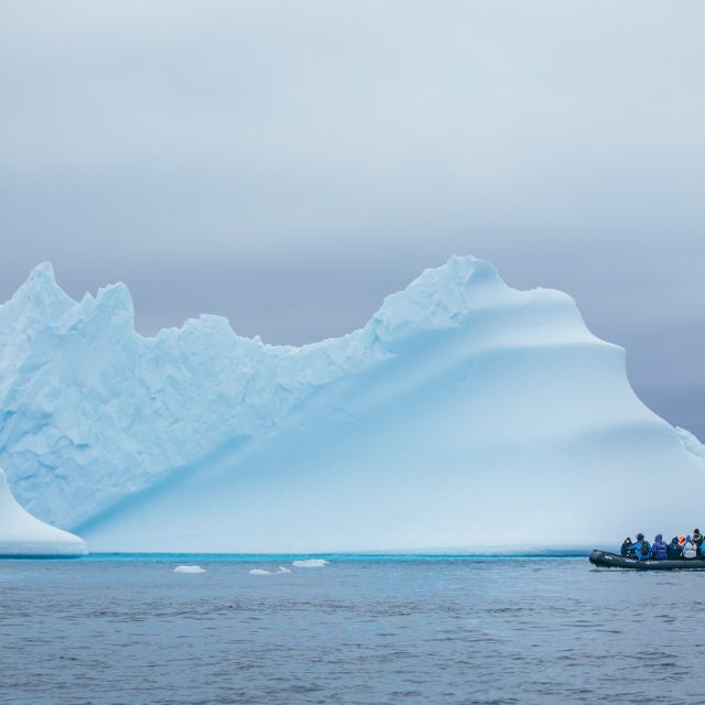 Zodiac cruise in Antarctica