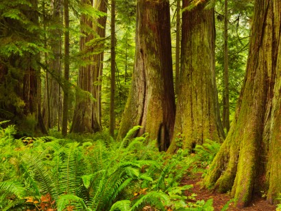 Ultimate British Columbia: Coast & Grasslands