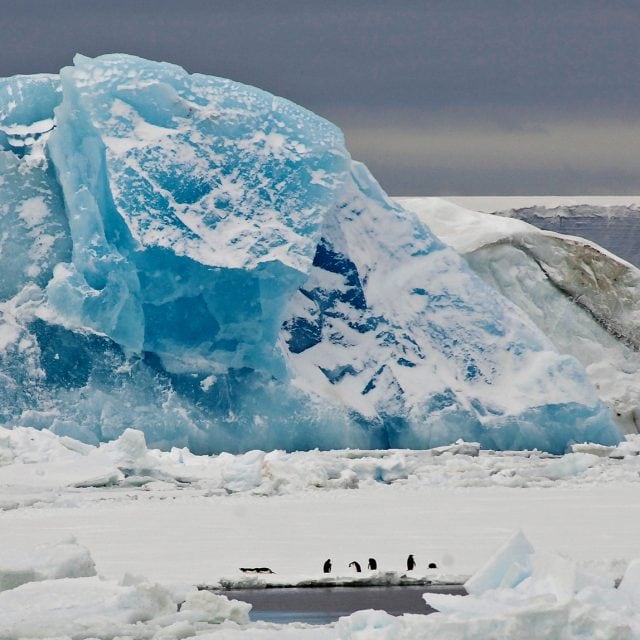 Antarctica: Journey to the Circle