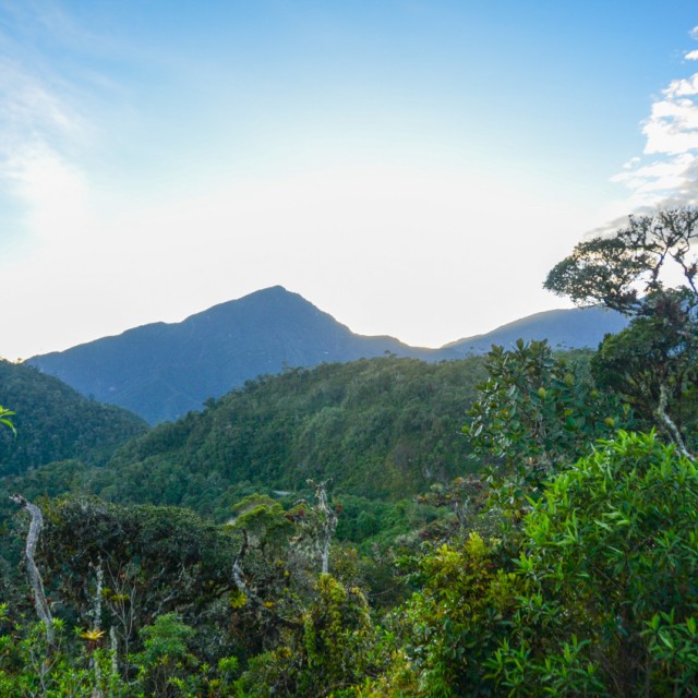Northern Peru