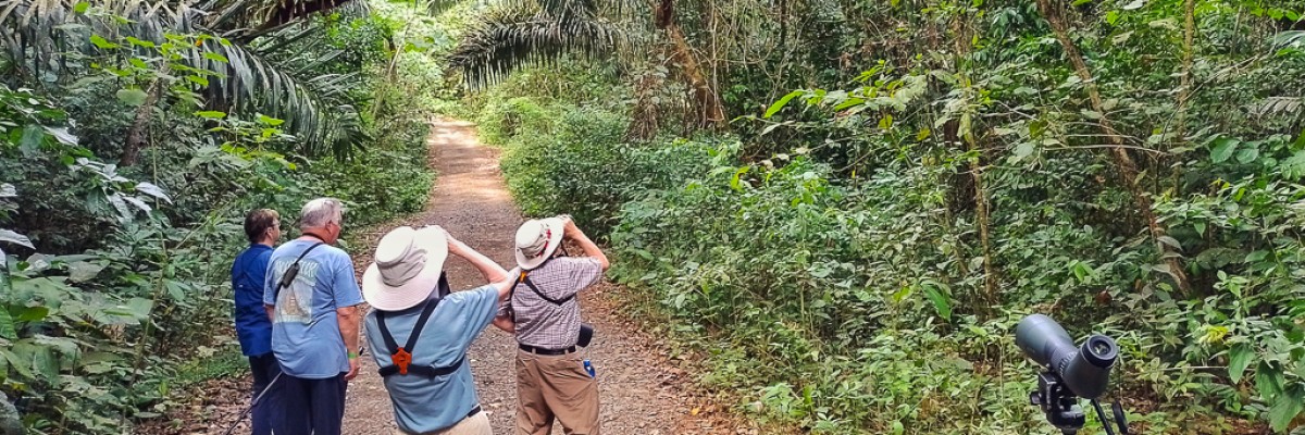 Panama Birding Tour 2022 Trip Report
