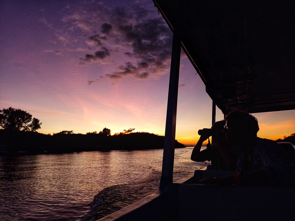 Mangrove Boat ride Costa Rica