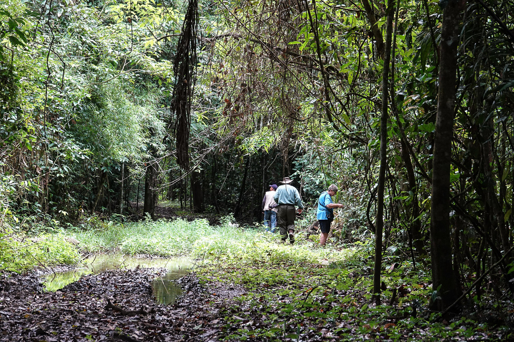 Birders at Surama Guyana