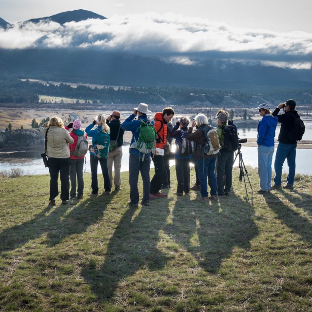 Columbia Valley wetlands near Wilmer