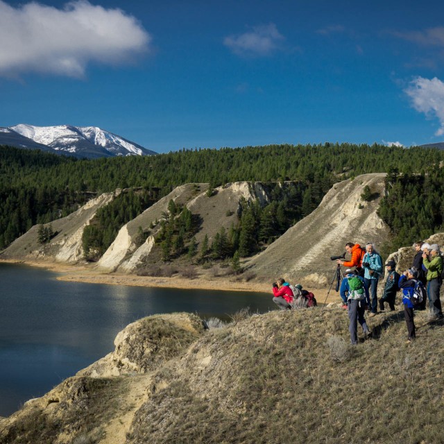 Looking over the Columbia Wetlands