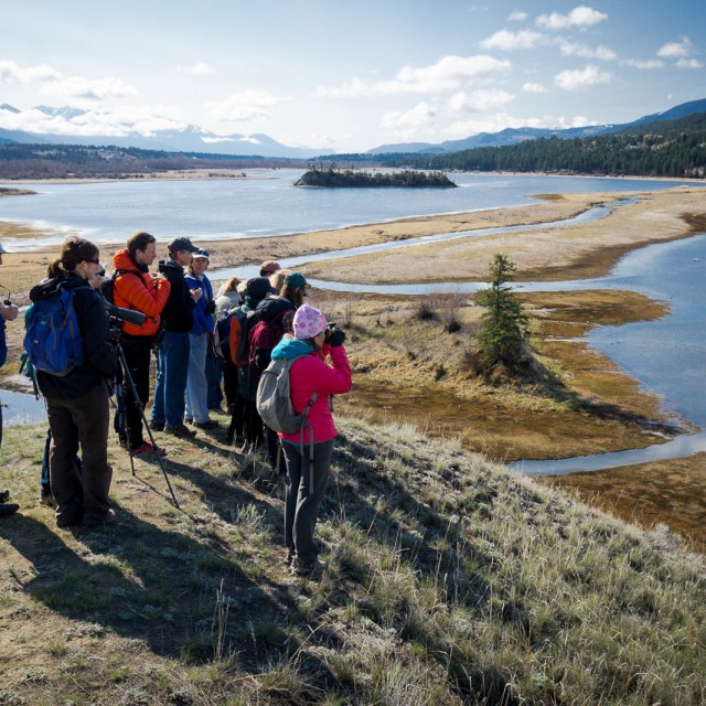 Birders in the Columbia Wetlands
