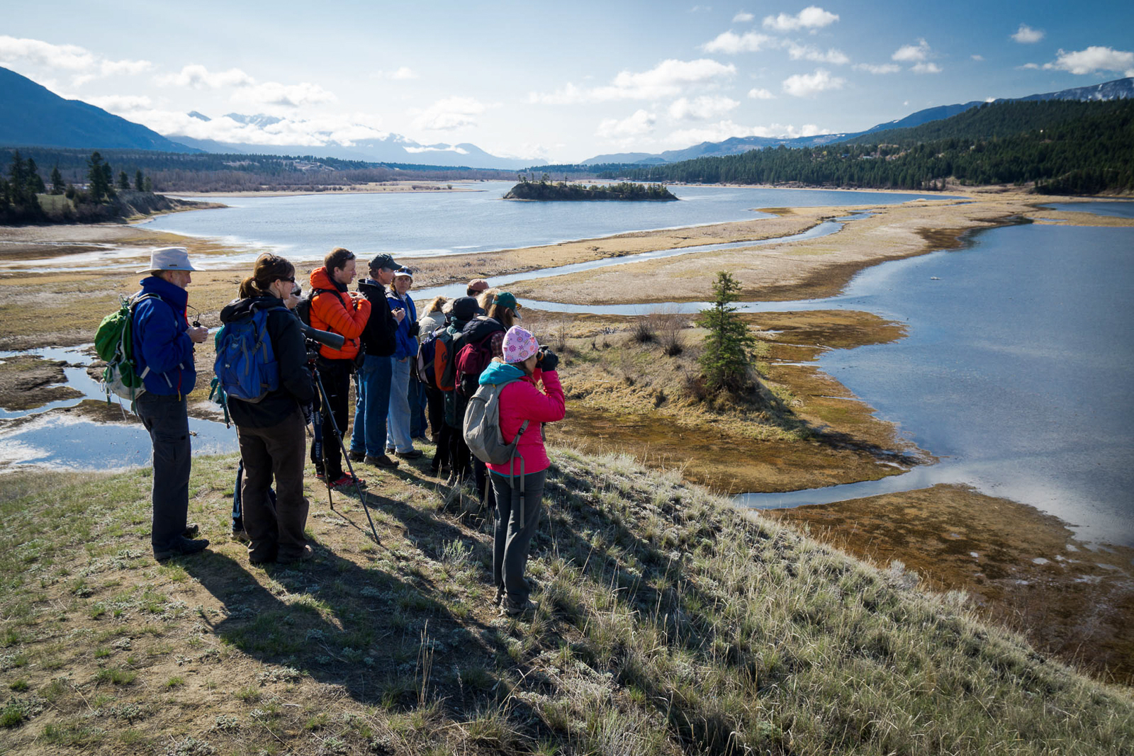 Birders in the Columbia Wetlands: Birds & Conservation in BC's Columbia Valley