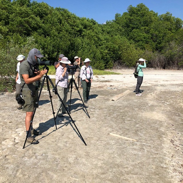 Birding at Playa Las Colorada, Mexico