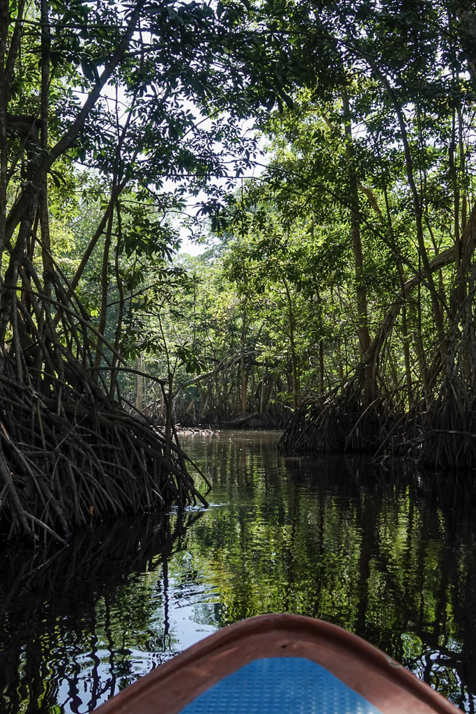 BBoat trip in La Encrucijada Biosphere Reserve