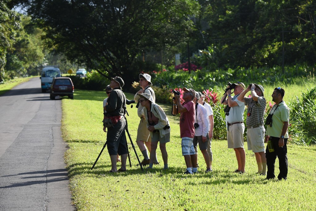 Birding tour in Costa Rica