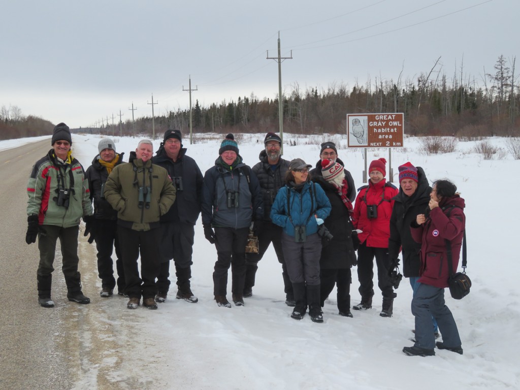 Owl birding group 