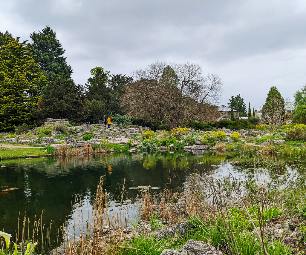Cambridge Botanic Garden
