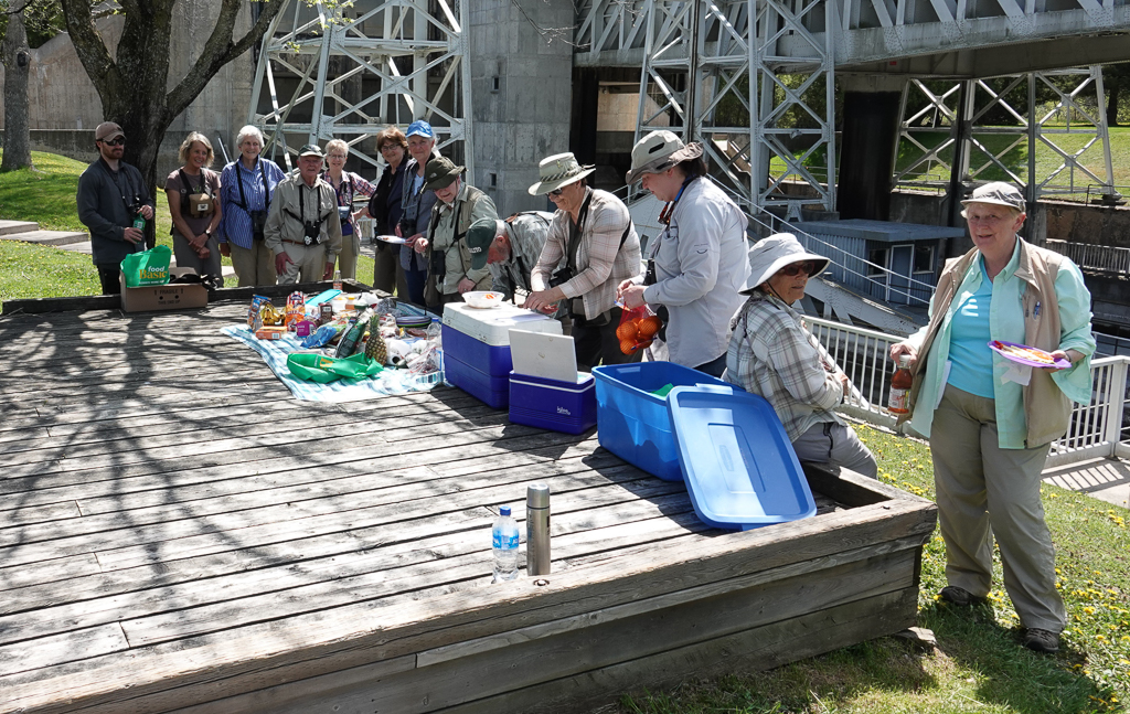 Picnic at Kirkfield Park