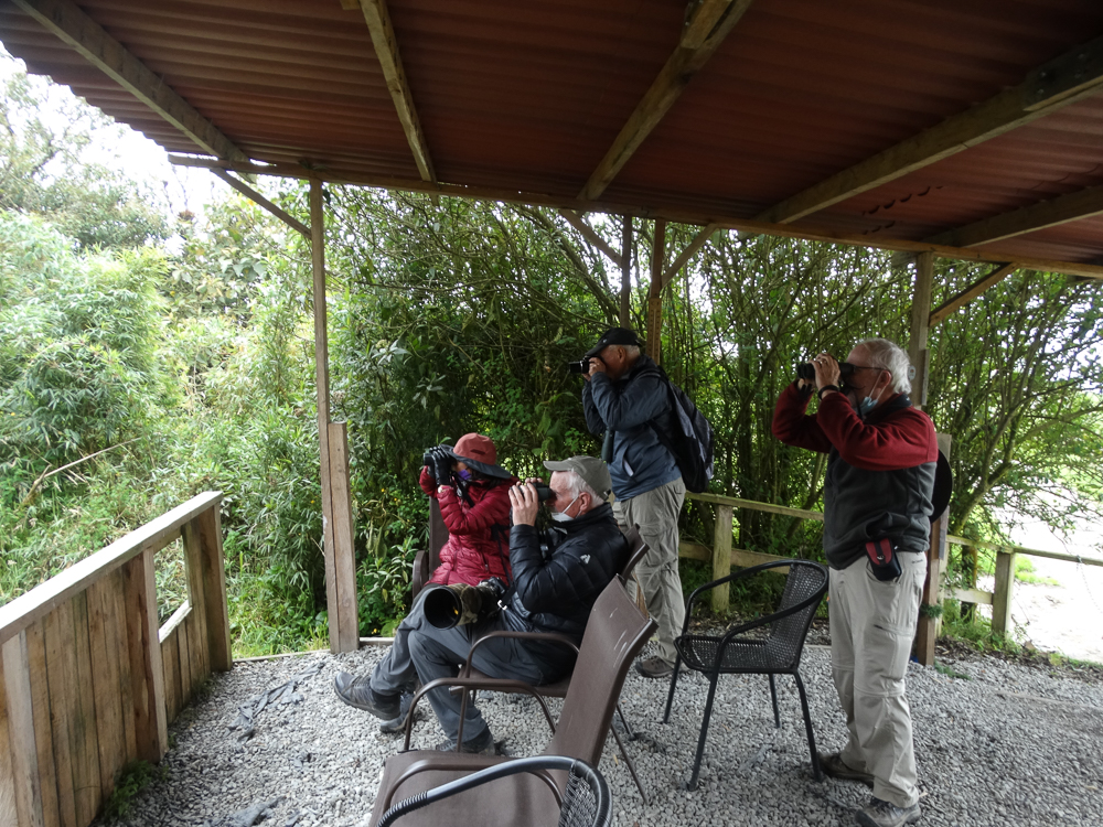 Birders at Hacieda el Bosque, Colombia