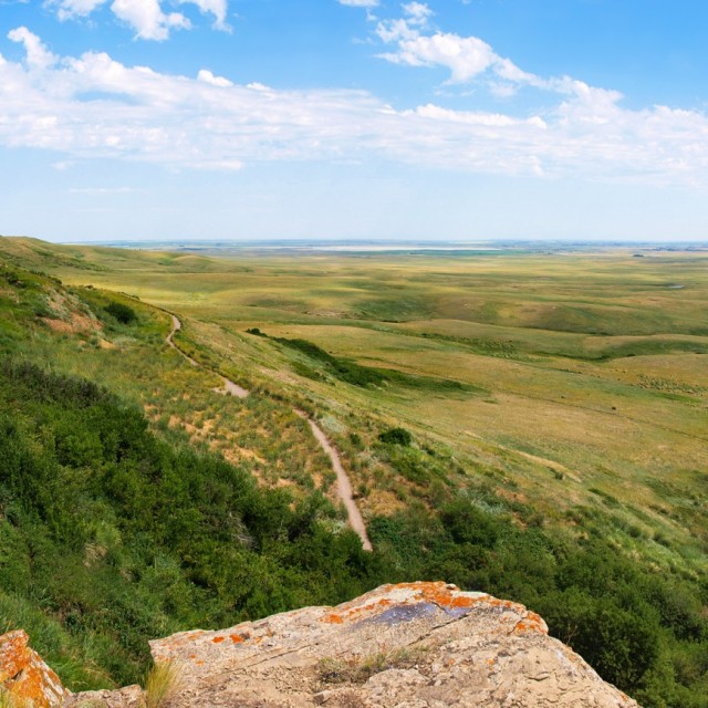 Head Smashed in Buffalo Jump