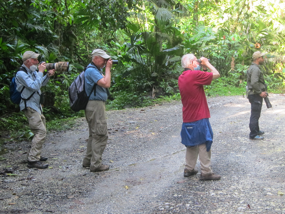Birders, Rio Claro, Colombia