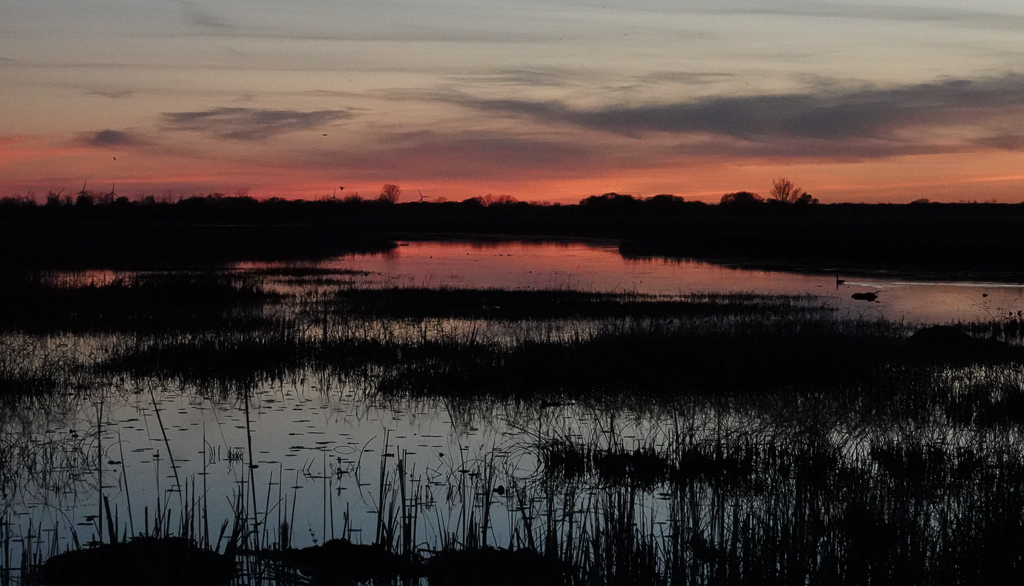 Big Creek Marsh at dusk