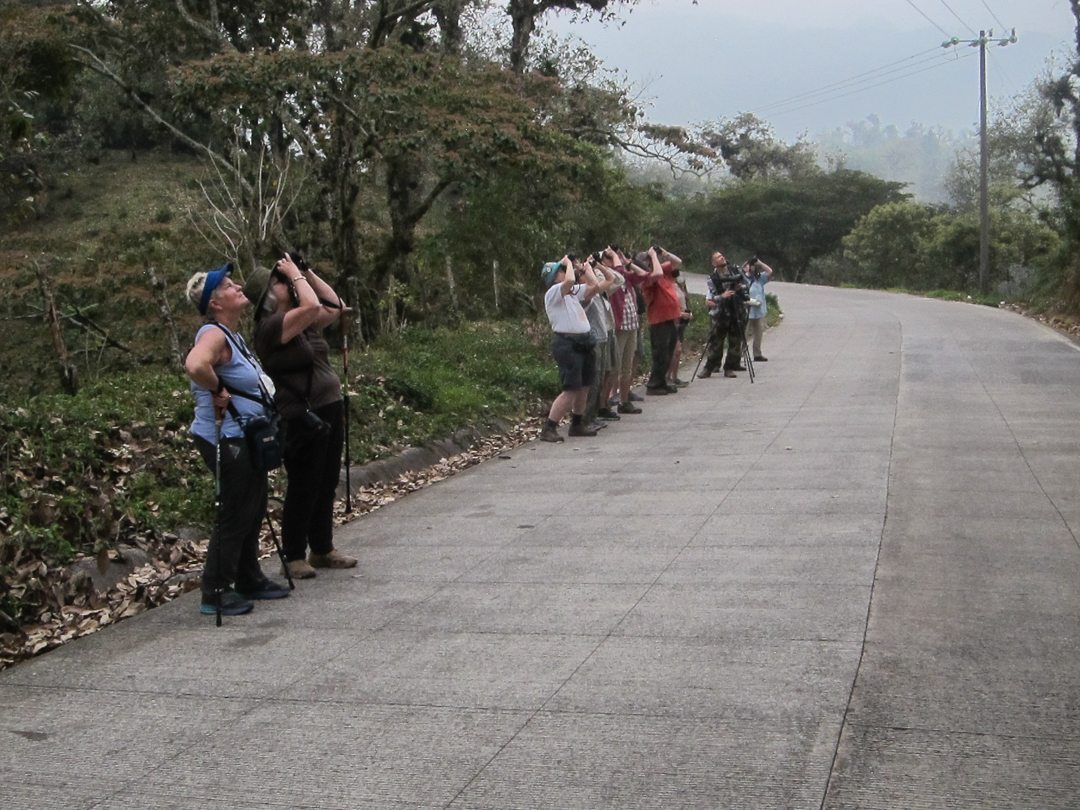 Birding at the magical pastures