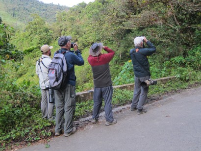 birding near Doña Dora's, Colombia