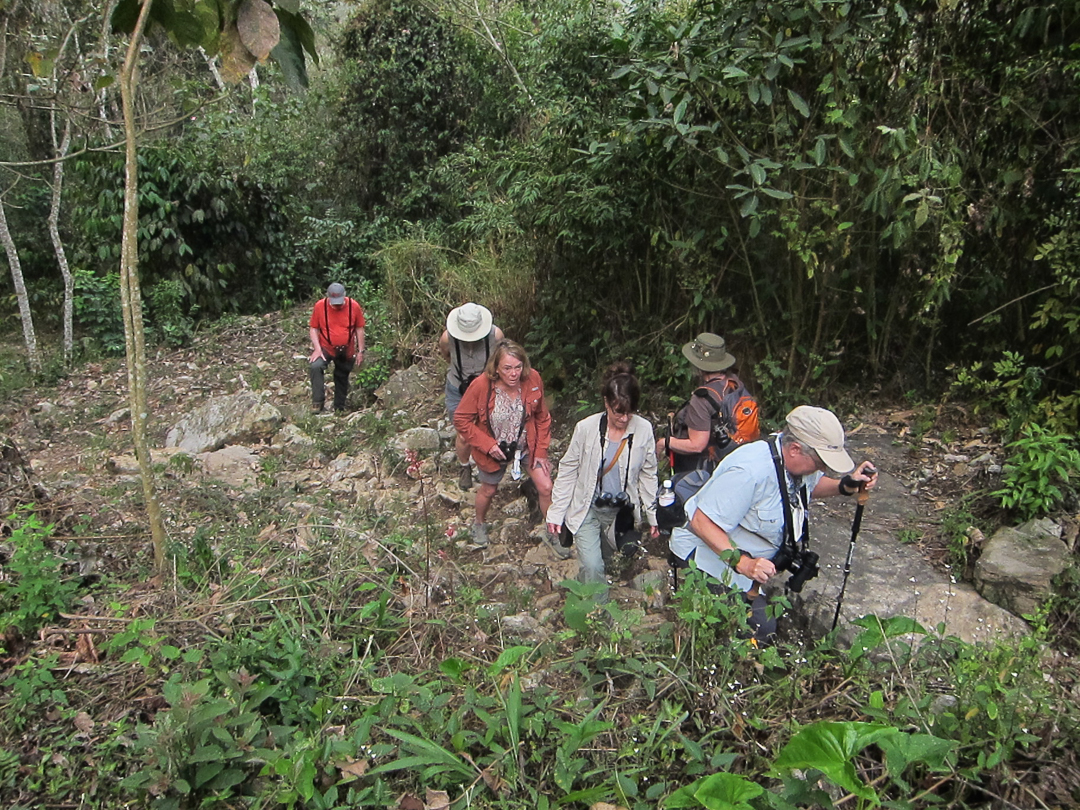 Rocky trail at Amatlan, Mexico