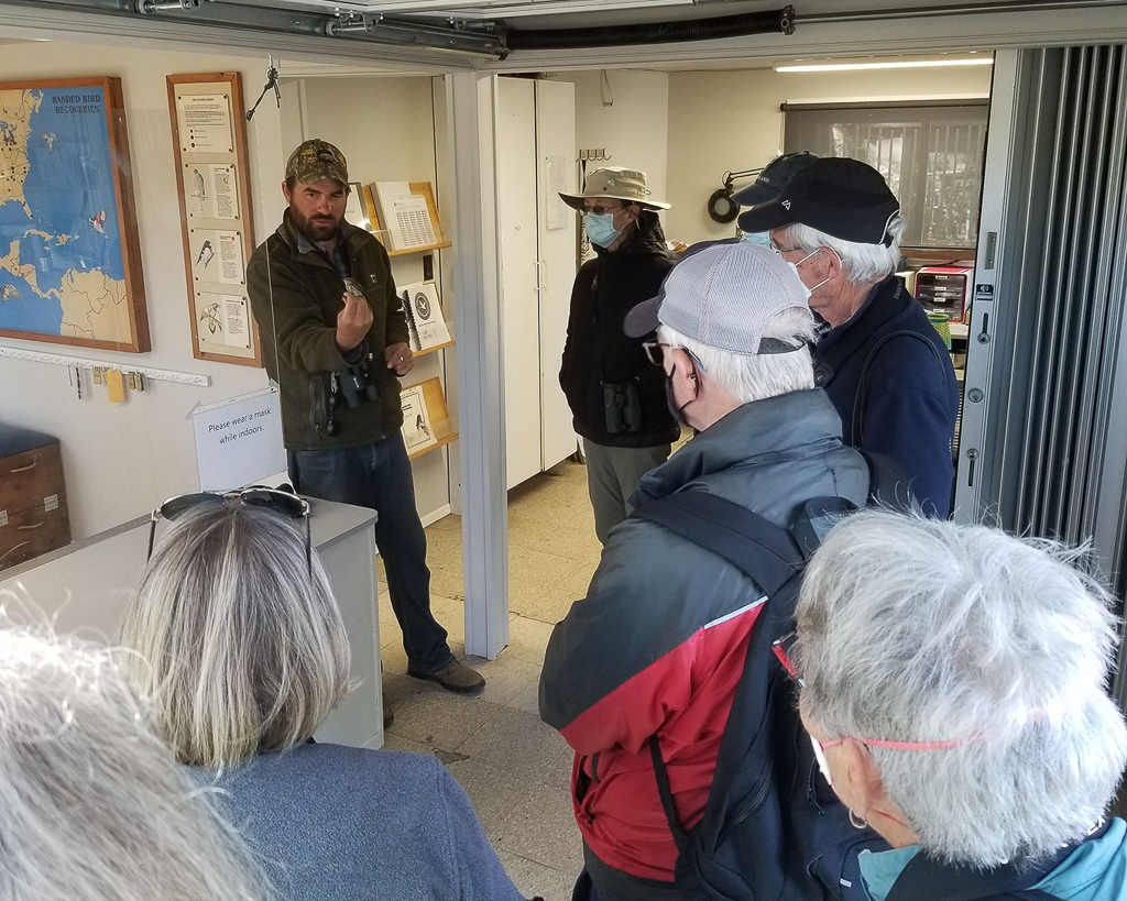 Bird banding demonstration