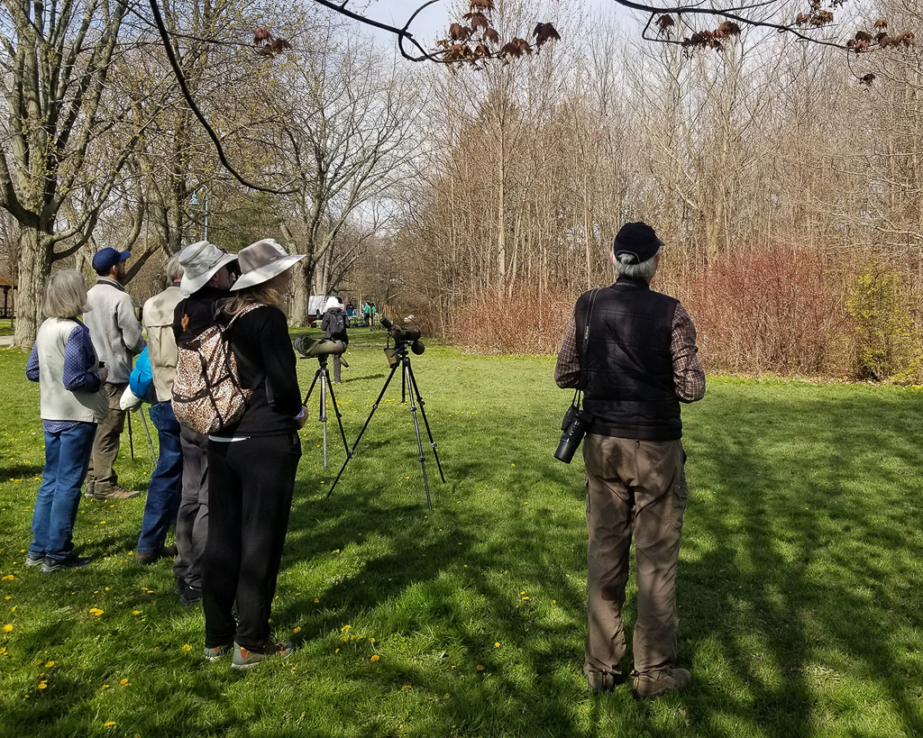 Birding at Colonel Sam Smith Park 