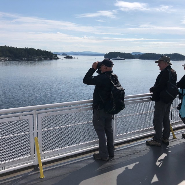 Bird and whale watching from ferry