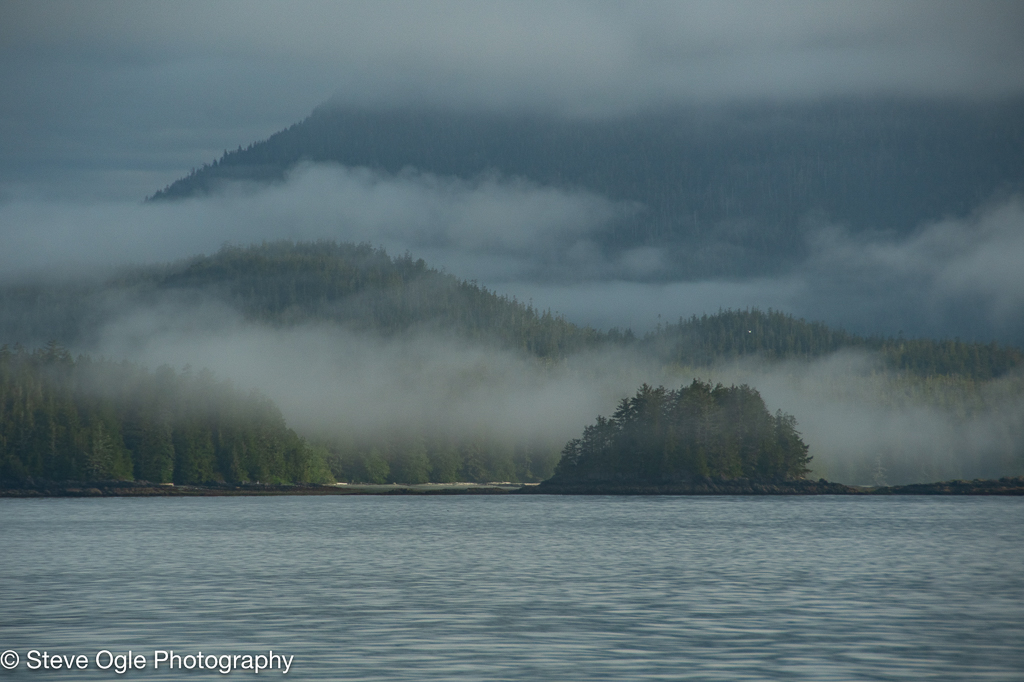 Pacific West Coast landscape
