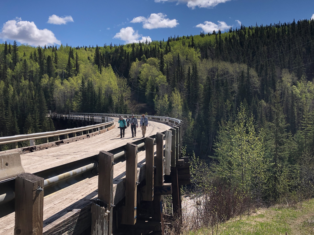 bird watchers, Kiskatinaw River