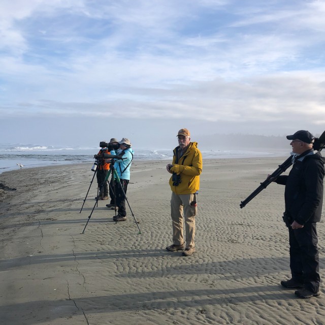 bird watching, Long Beach