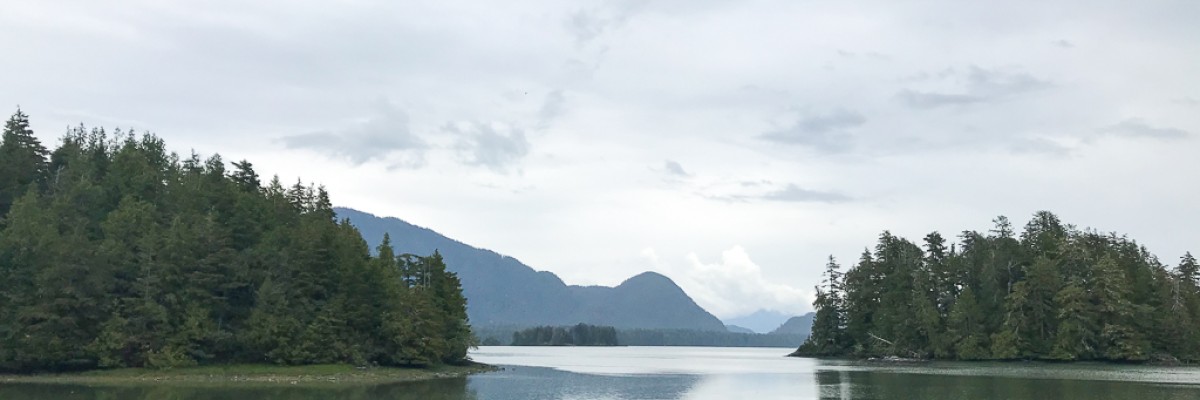 Ultimate British Columbia trip report May 28 - June 9, 2022