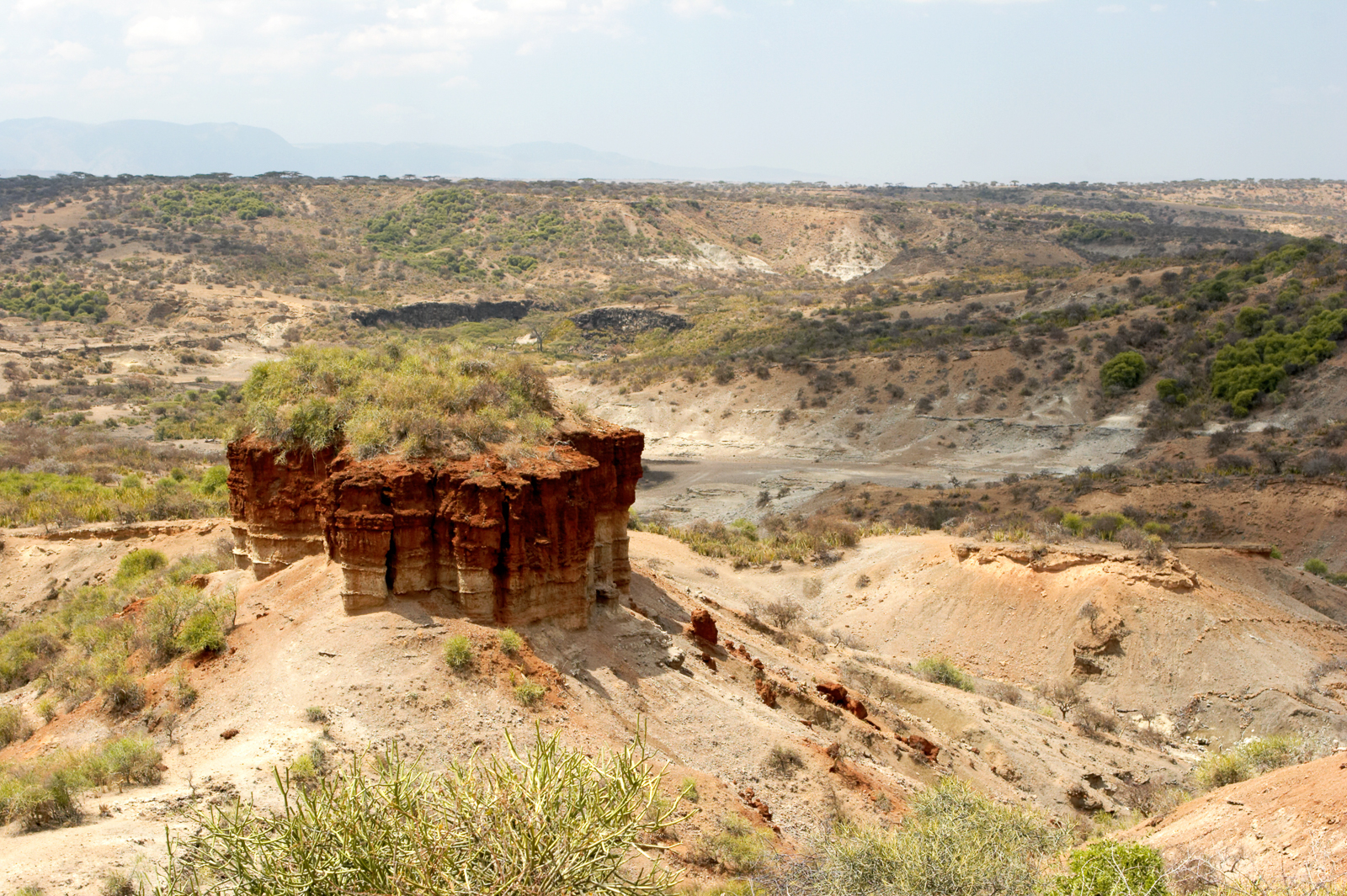 Olduvai Gorge is an archaeological site located in the eastern Serengeti Plains, which is in northern Tanzania. Some of the oldest examples of man have been found in this ancient gorge."