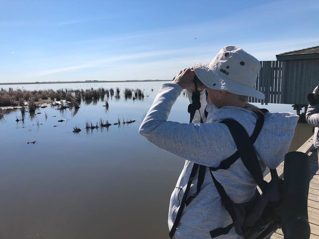 Birder at Frank Lake