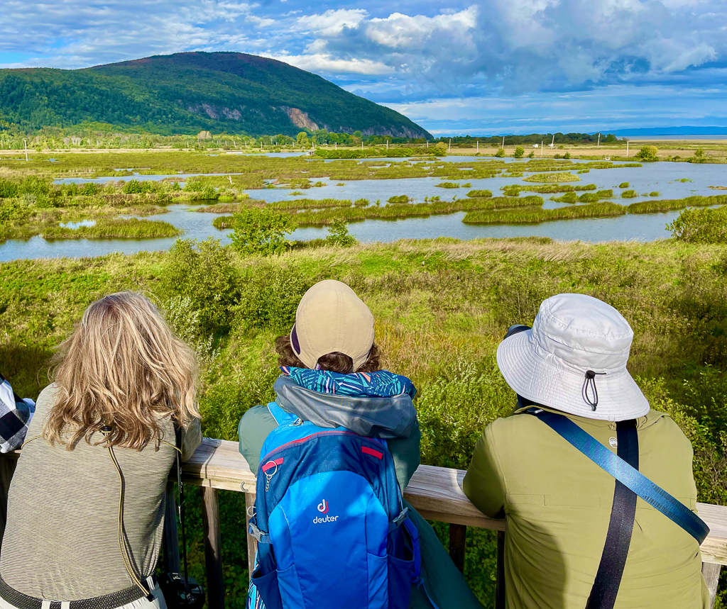 Birders at Cap Tourmente, Quebec