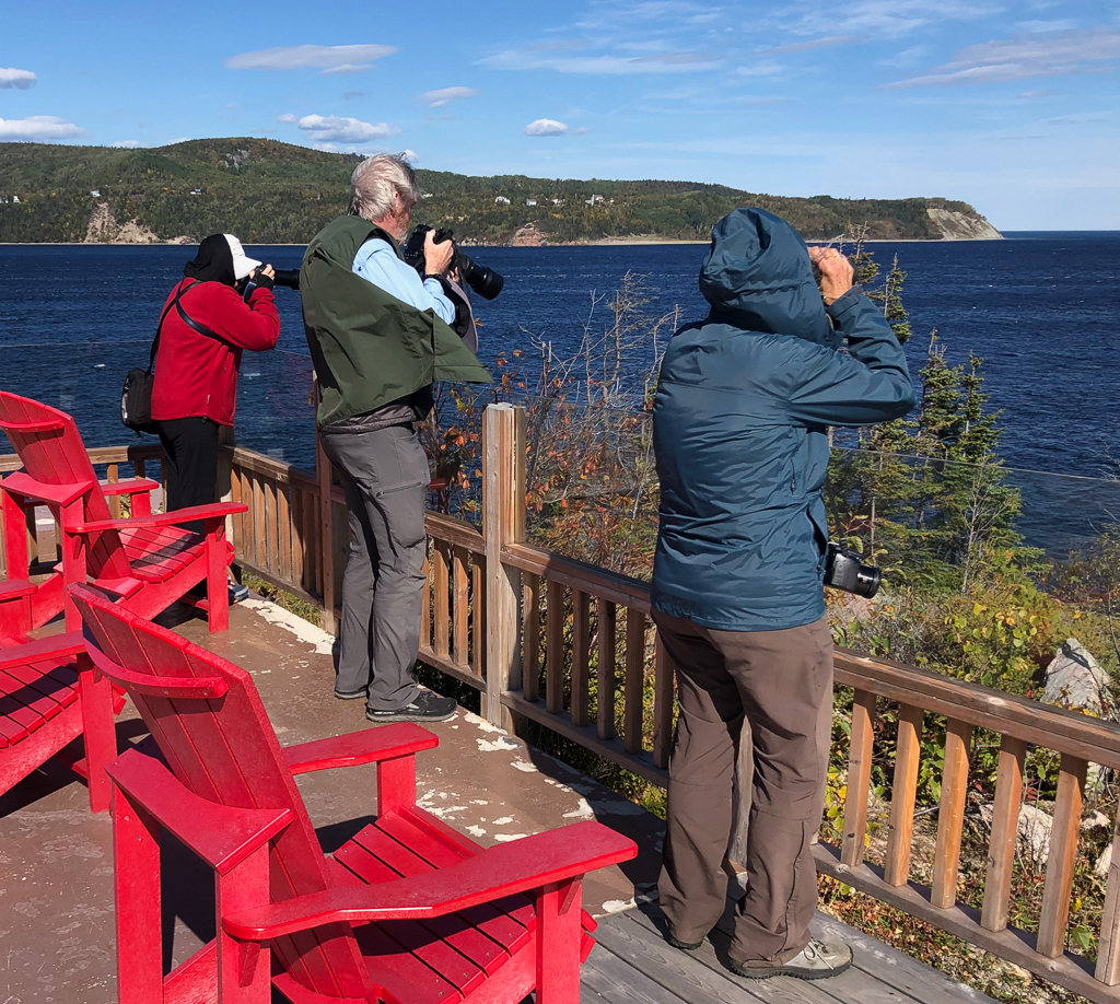 BIrders at Pointe Noire Interpretive Centre