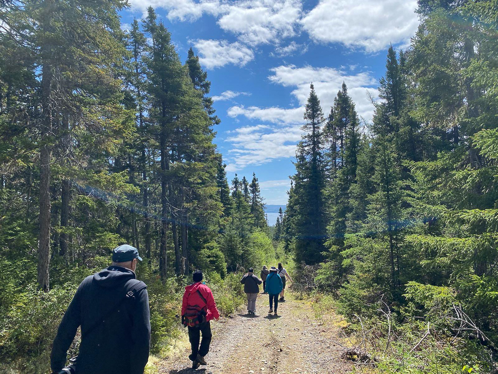 Birders Terra Nova NP