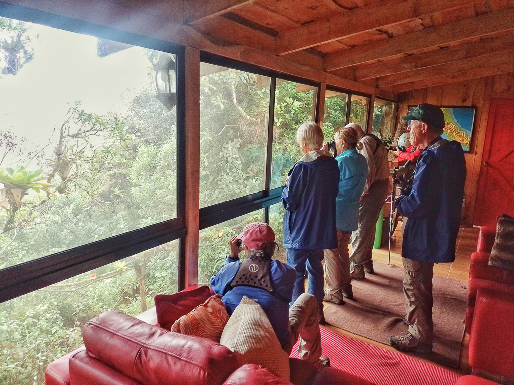 Birding at Casa Dowii