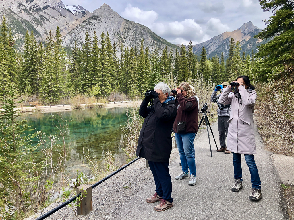 Birders Mount Lorette Ponds, Kananaskis