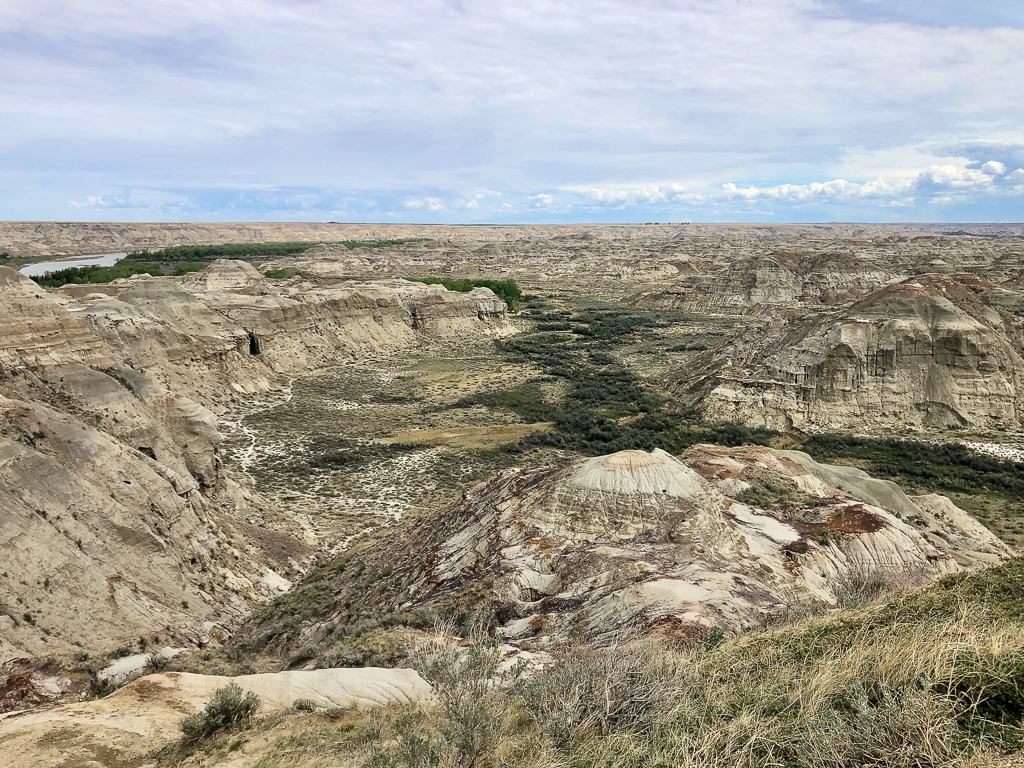 Dinosaur Provincial Park viewpoint