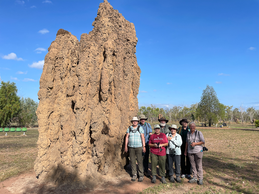 Eagle-Eye Tours birding group at termite mound in Australia