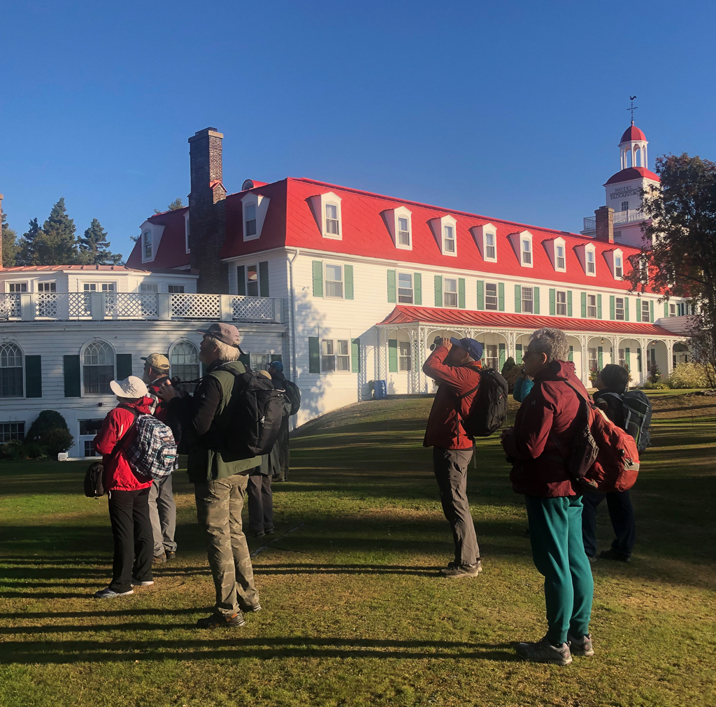 birding at Hotel Tadoussac