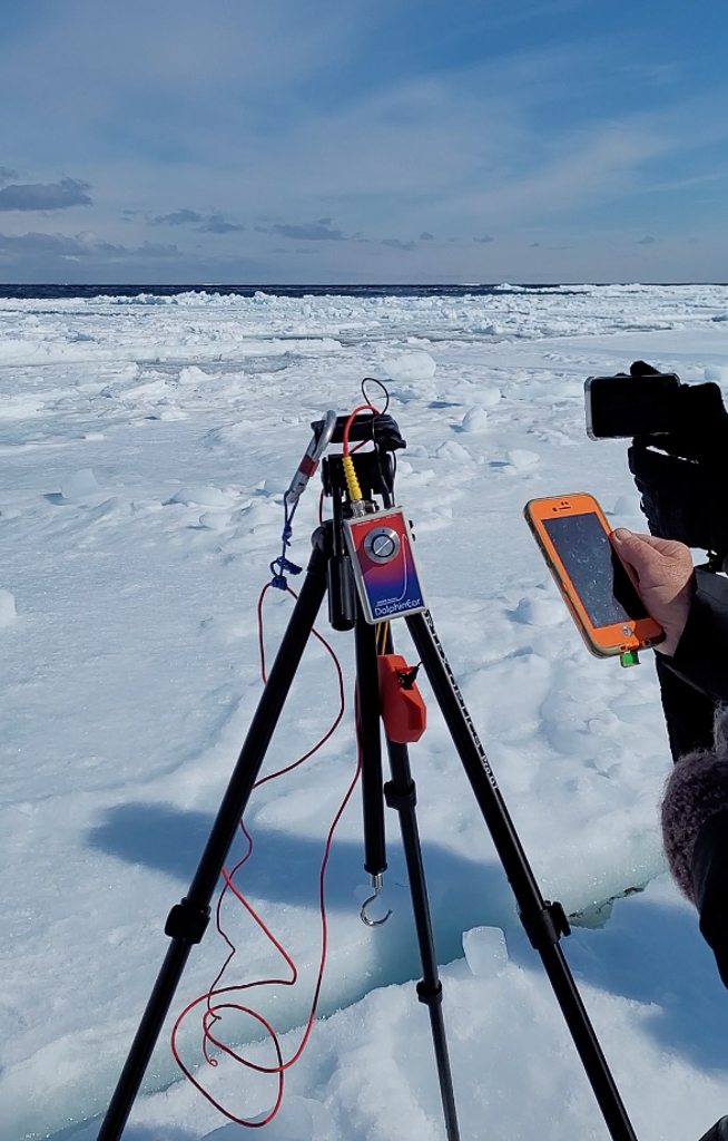 Listening to the hydrophone dropped through a crack in the ice. 