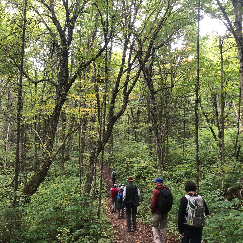 Jacque Cartier National Park