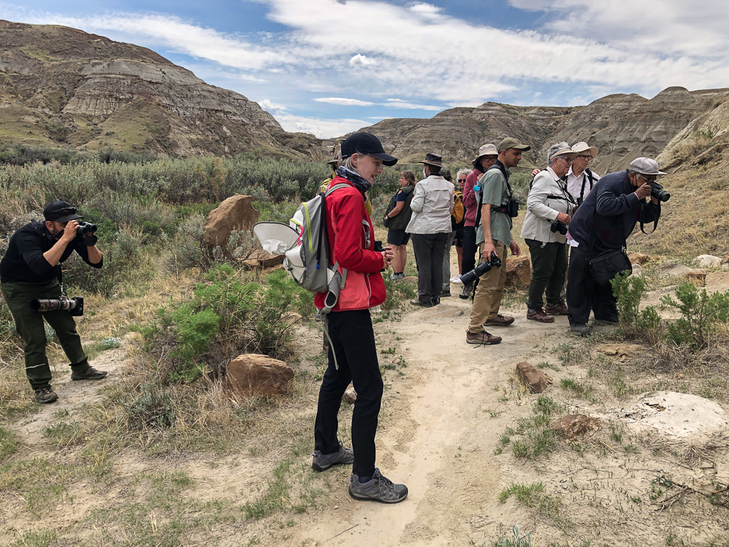 Looking at a rattlesnake