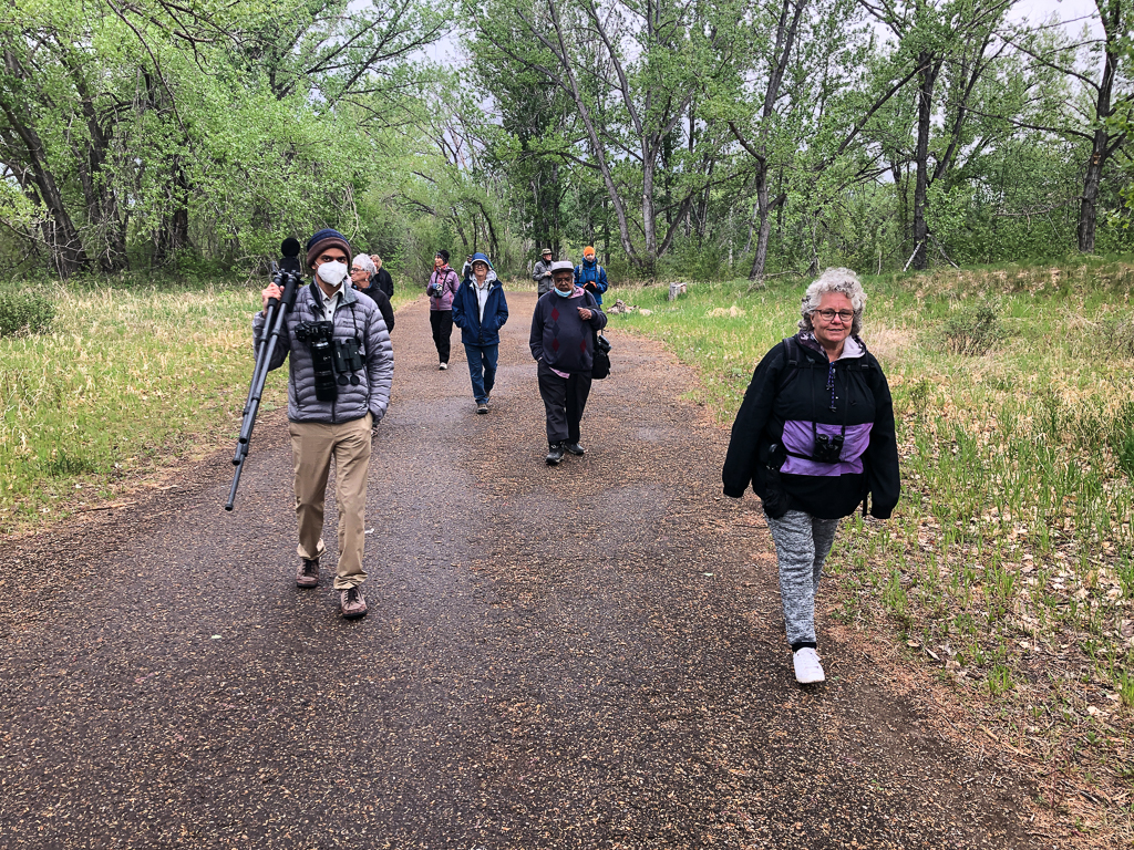 McMullen Island trail
