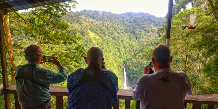 Costa Rica: Mountains to Caribbean Trip Report 2022